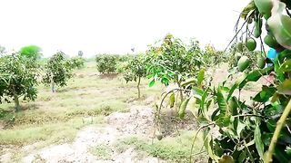 Don`t Miss Special Funniest Comedy Video ???? Must Watch Viral Funny Video 4
