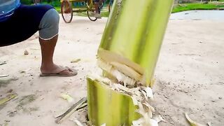 New Funny Video ???? Top Comedy Video