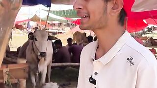 Jab_Burgers bache mandi_mein_chaly_jayen_???? funny video