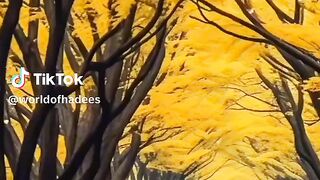 Islamic video 120
