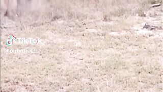 u see this video