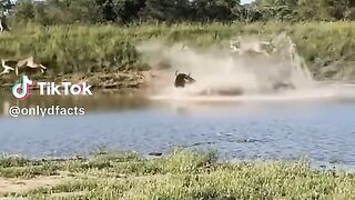 video25314