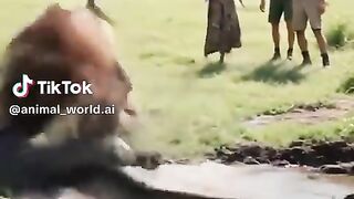 big fighting 2