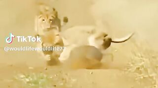 full video watching 9
