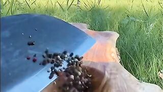 #FunVideo 44