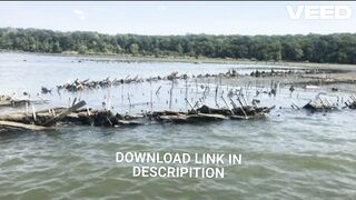 Mallows Bay[Video]  COPY LINK DOWNLOAD : https://shorturl.asia/zQHoy