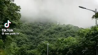 Kamal hoga