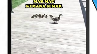 ada rokok gk bang ?