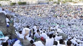 Hajj sermon will be available for live translation in 35 languages This year, the