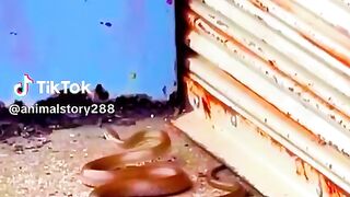 part3 full video
