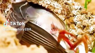 part4 full video watching