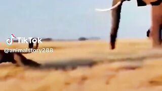 part5 full video watching 2