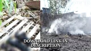 Watch: portal zacarias fogo homem que ateou fogo em si mesmo zacarias portal zacarias essa doeu