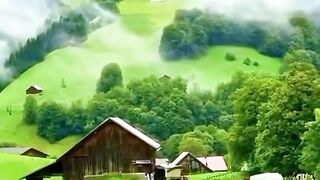 Beautiful ????❤️ video