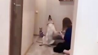 Funny Dog Leg massage