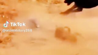 part6 full video watching
