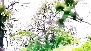 part8 full video watching