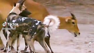 part9 full video watching
