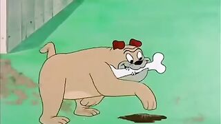 Garden Gopher (1950) TexAvery
