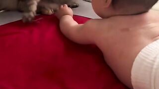 Cat and baby 2