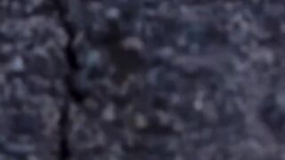 #salom 2