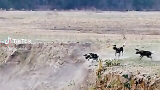 part15 full video watching