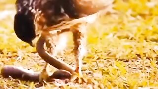 full video watching part2