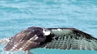 part4 full video watching 2