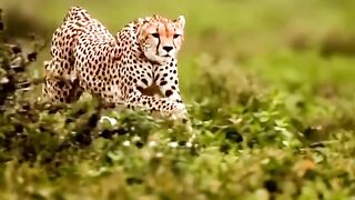 part16 full video watching