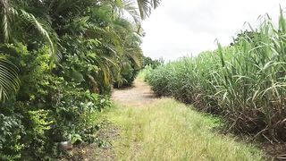Beautiful natural scenery