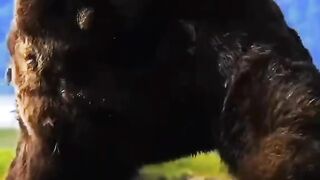 full video watching part20