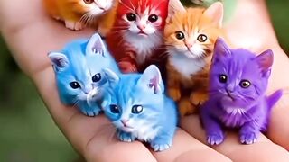 Funny ???????? video 16