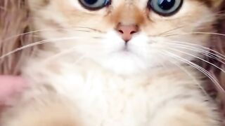 beautiful eyes