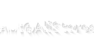 AutoAli Store Review – Perfect for New Affiliate Marketers?