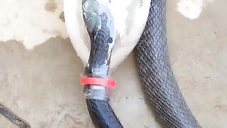 part2 full video watching 2