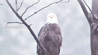 Nice video 292