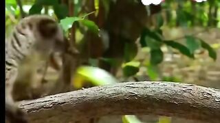 part3 full video watching 4