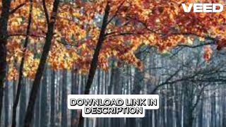 New video Full 18++ ] shubham gupta viral video mms link 18+ video