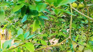 সাপোর্ট করো সবাই আমি করব