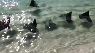 Wow that awesome