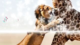 video full watching 2