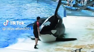 Amazing video 242
