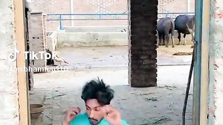 Shaadi 4