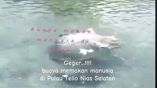 Crocodile attacks people in local sea Nias Regency