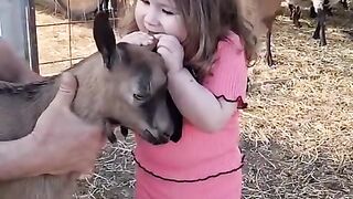 #FunVideo 53