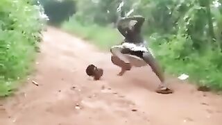 comedy video Funny snake video