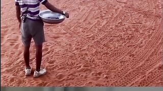 Cheetah Interacting With Human