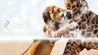 Watching full video 2