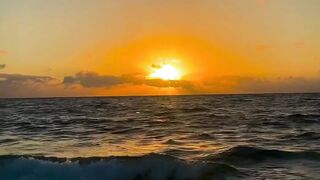 "When the Sky Turns Gold | Mesmerizing Sunset Moments"
