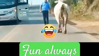 Fanny video 97